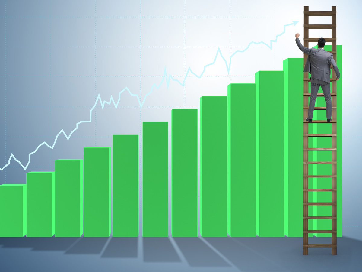 Рост составил. Growth in Hut. Growing line statistics gif.